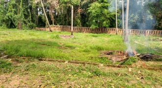 Residential Land for sale in Kochi Near Chalickavatom  for 15 Lakh Per cent