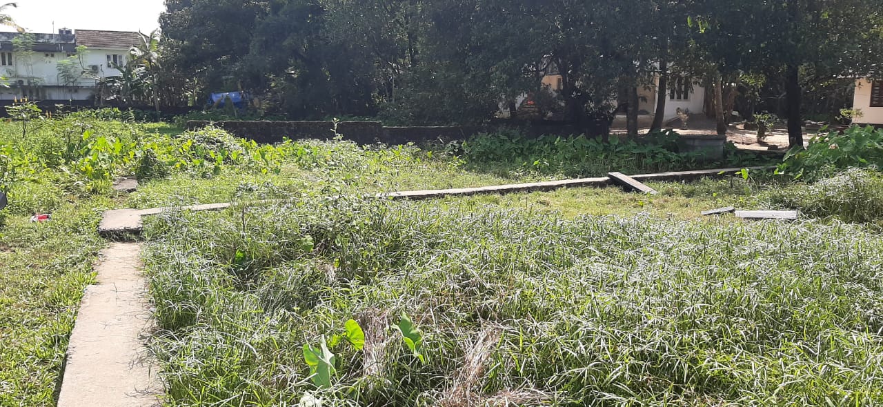 plot for urgent sale in kochi