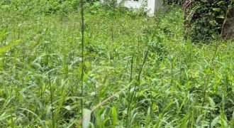 Prime Location new Villa plot for sale kochi