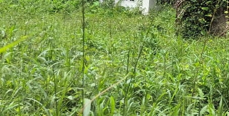 gated villa plots in kochi