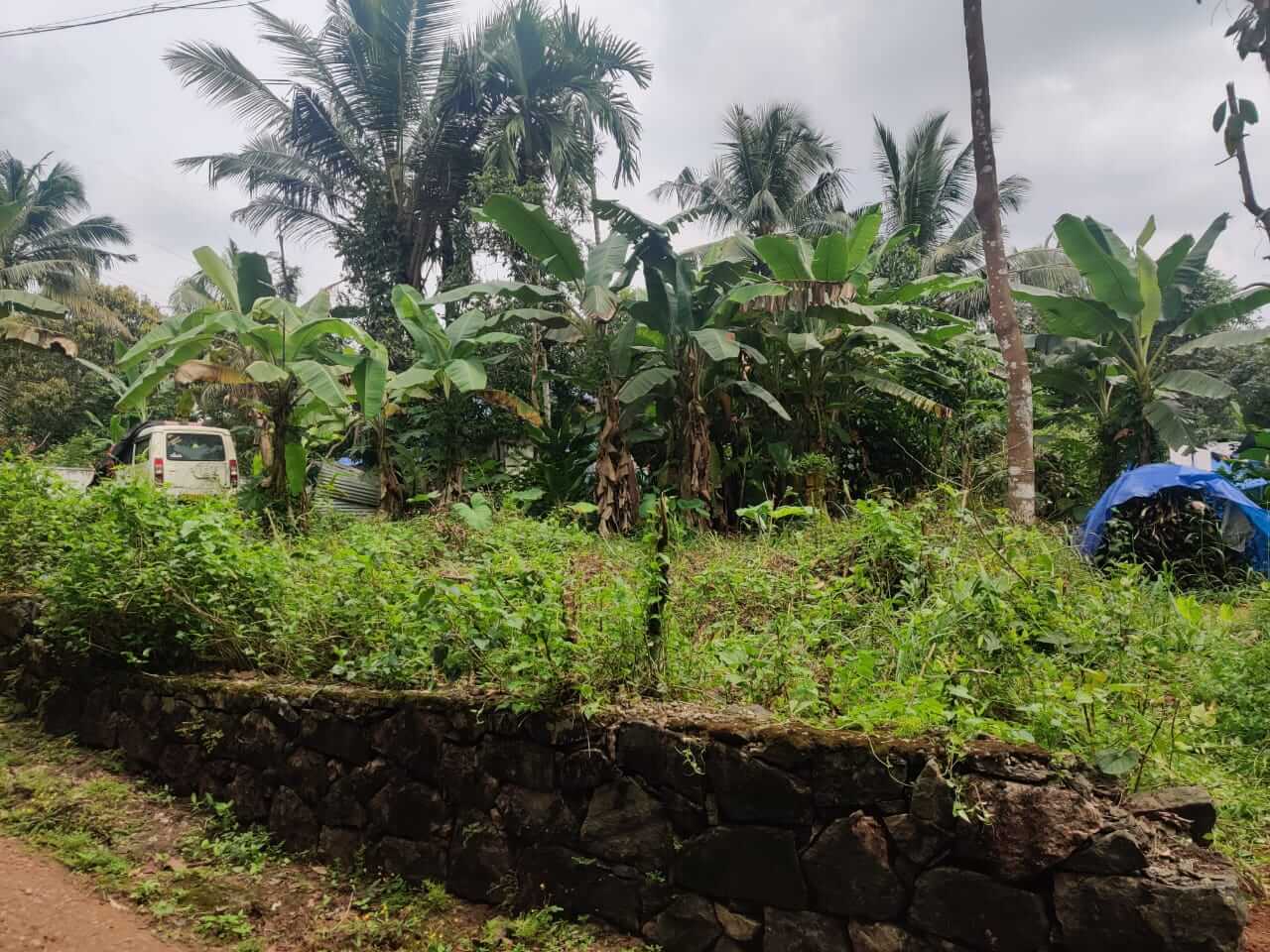 land for sale in kochi