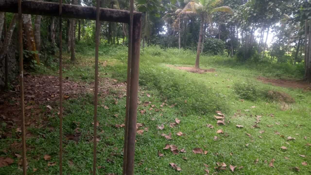 land for sale in kochi below 20 lakhs