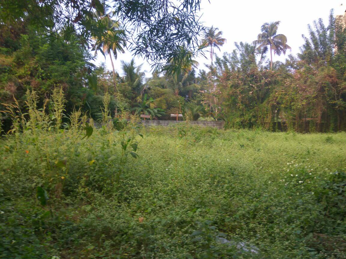 land in kochi