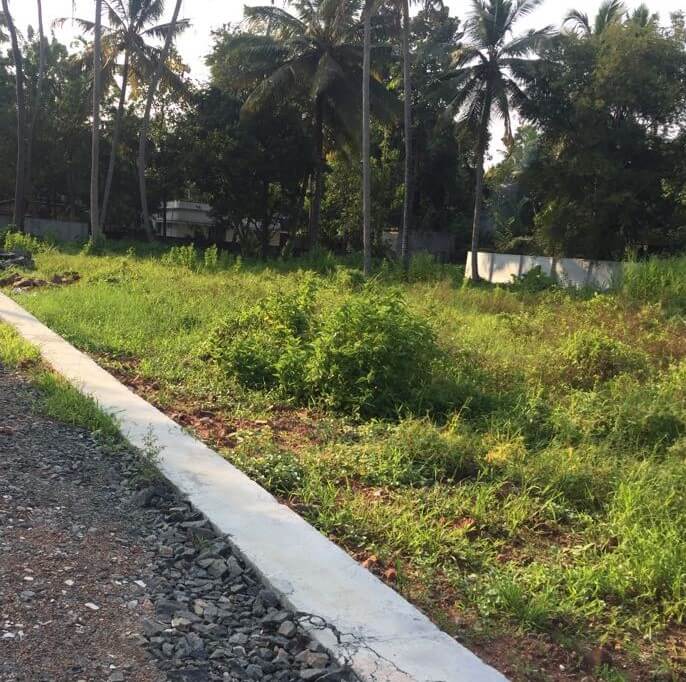plot in kochi