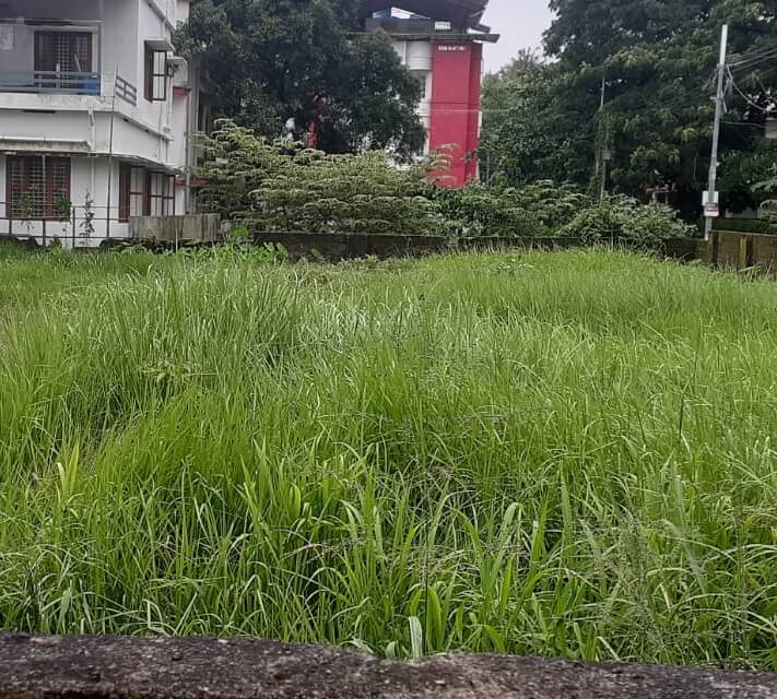 plot for sale in Kochi