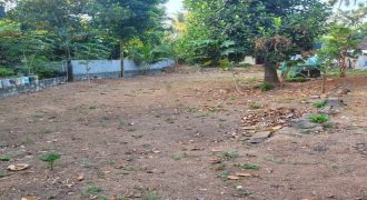 Prime Land for Sale Near Chottanikkara