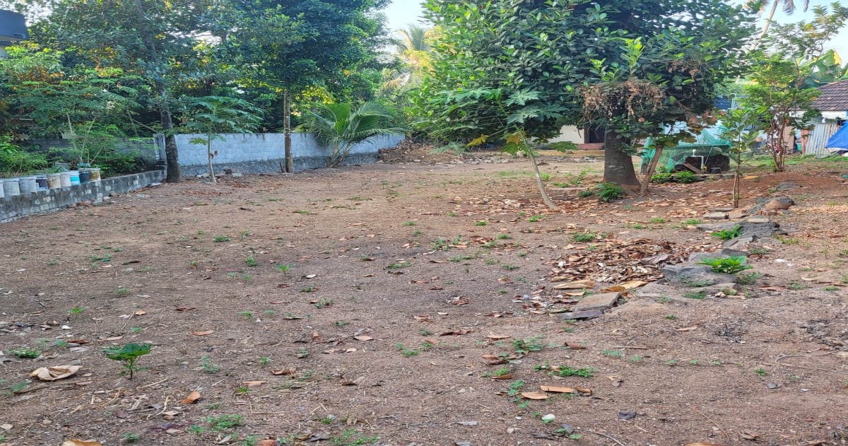 villa plot for sale in kochi