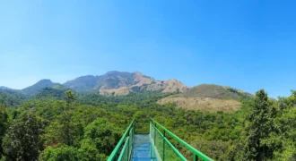 Beautiful Land for Sale Near Ayyamkudy Kottayam Beautiful Land for Sale Near Ayyamkudy Kottayam