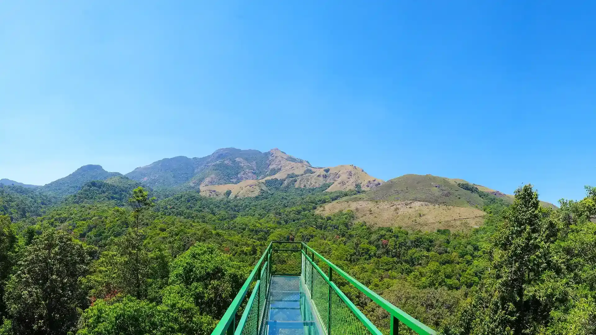 Land for Sale Near Ayyamkudy