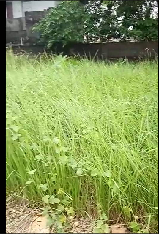 Plot for sale in Kochi Vytilla