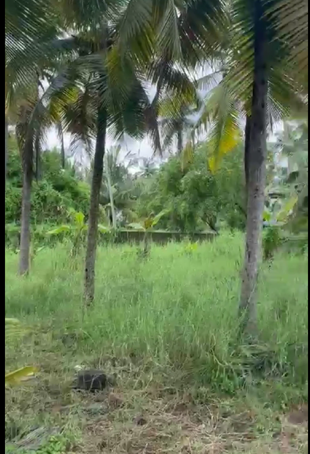 land for sale in kochi