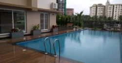 olive kalista Flat for sale in Kakkanad