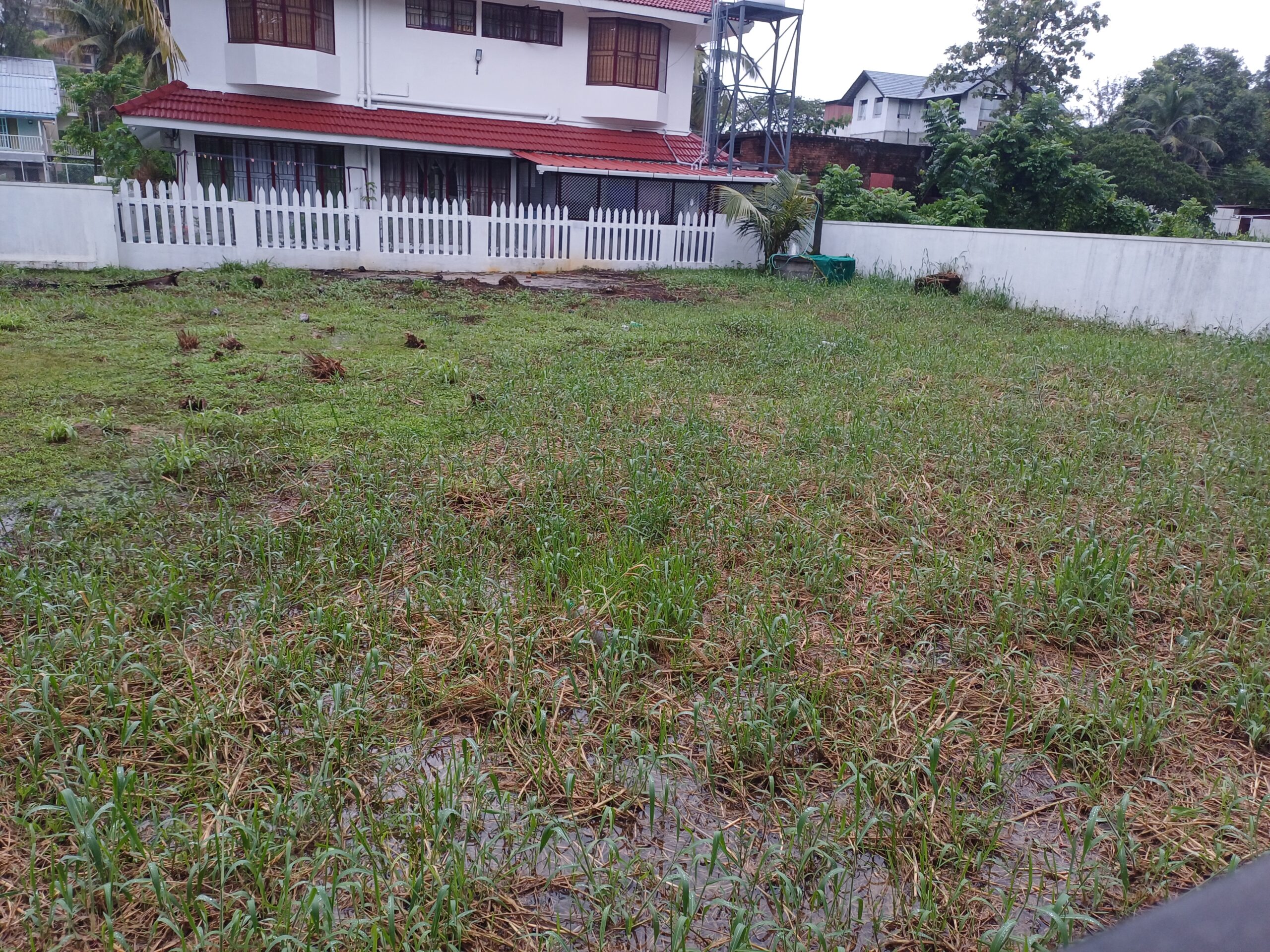 Residential Land Plot for Sale in Kaloor