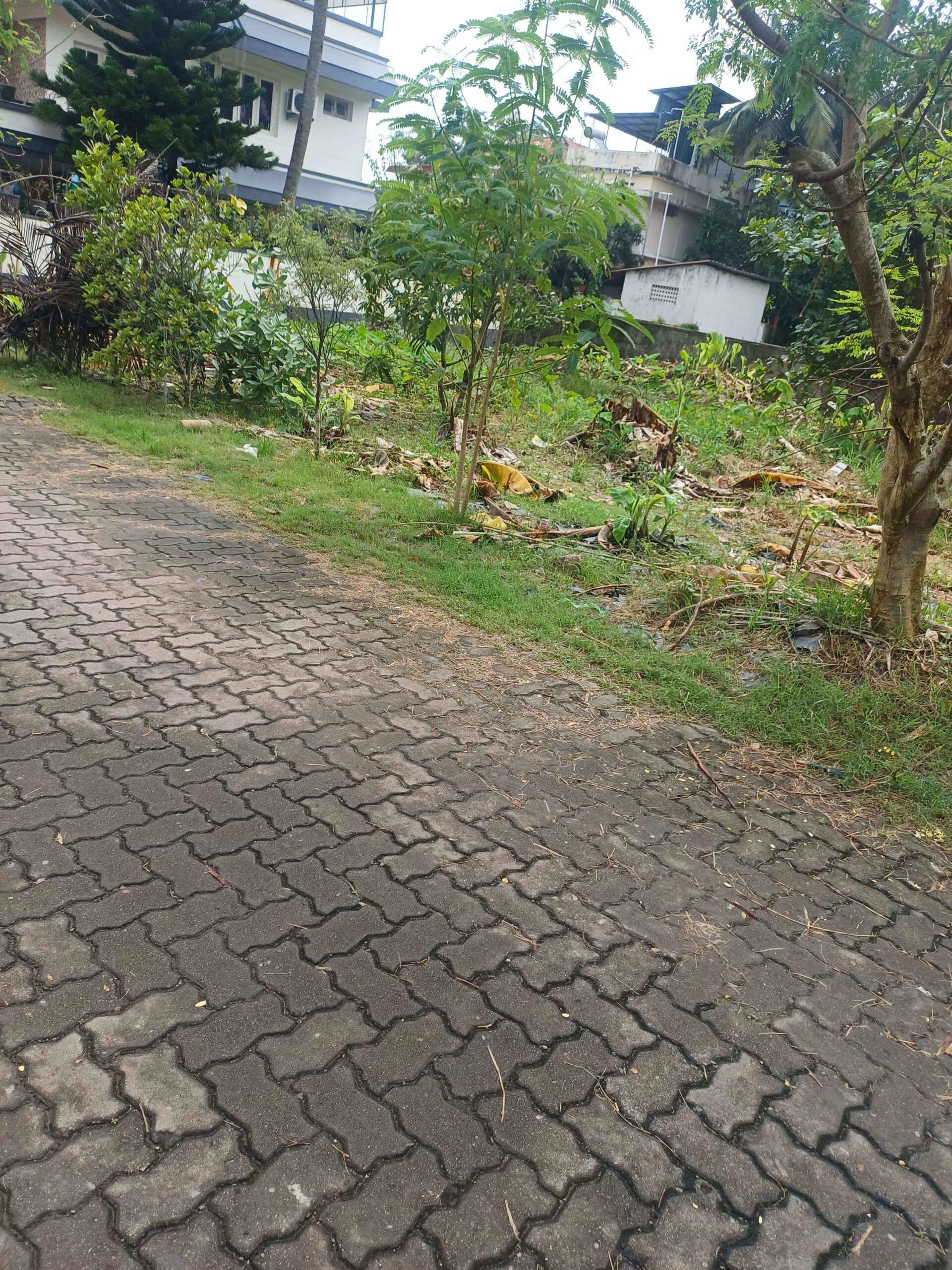 Plots for Sale in Kadavanthara Kochi