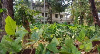 Plots for Sale in Palarivattom Kochi – Near NH Bypass Plots for Sale in Palarivattom Kochi – Near NH Bypass