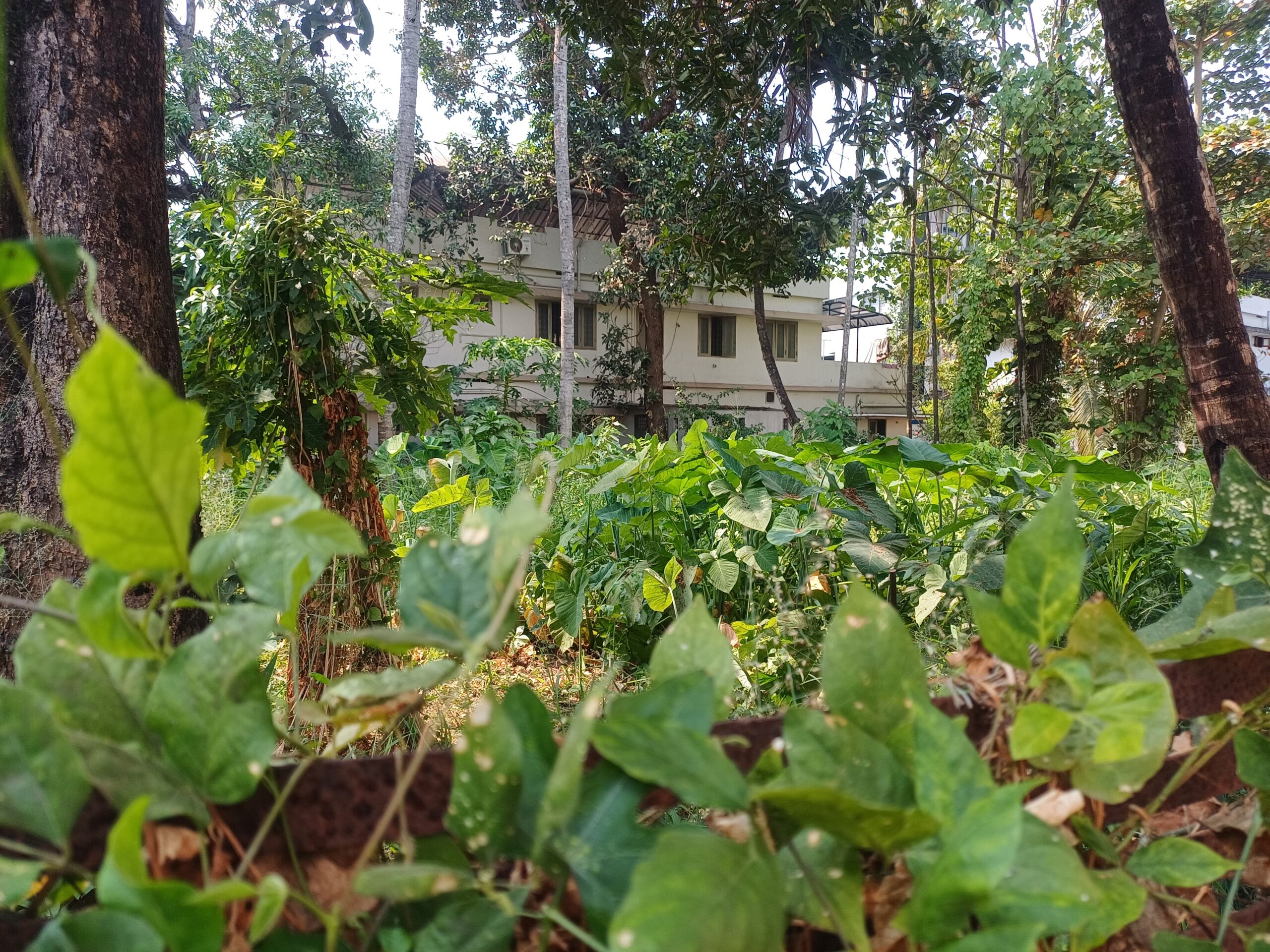 Plots for Sale in Palarivattom Kochi