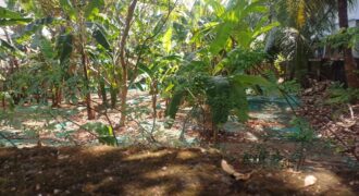 Plots for Sale in Vennala Kochi – Near NH Bypass