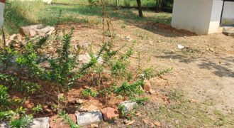 Luxury Gated Community Plots in Kochi Luxury Gated Community Plots in KochiÂ