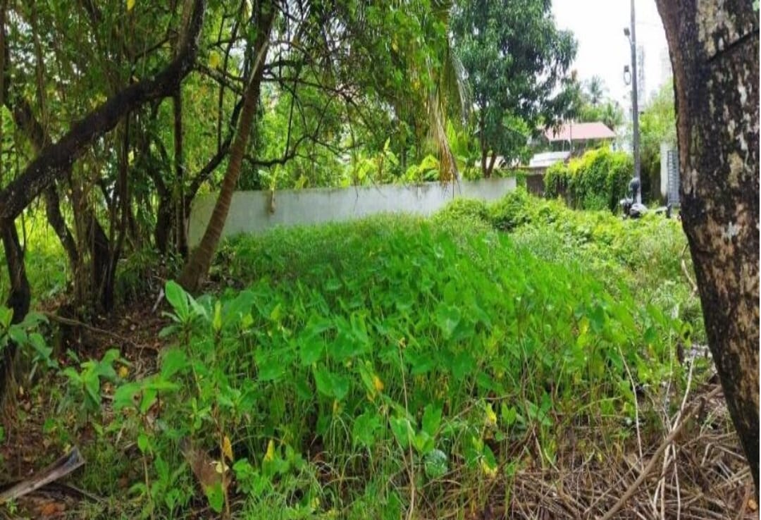 Plots for Sale in Kadavanthara Kochi