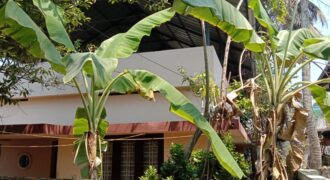 Residential Lands & Plots for Sale in Panampilly Nagar 